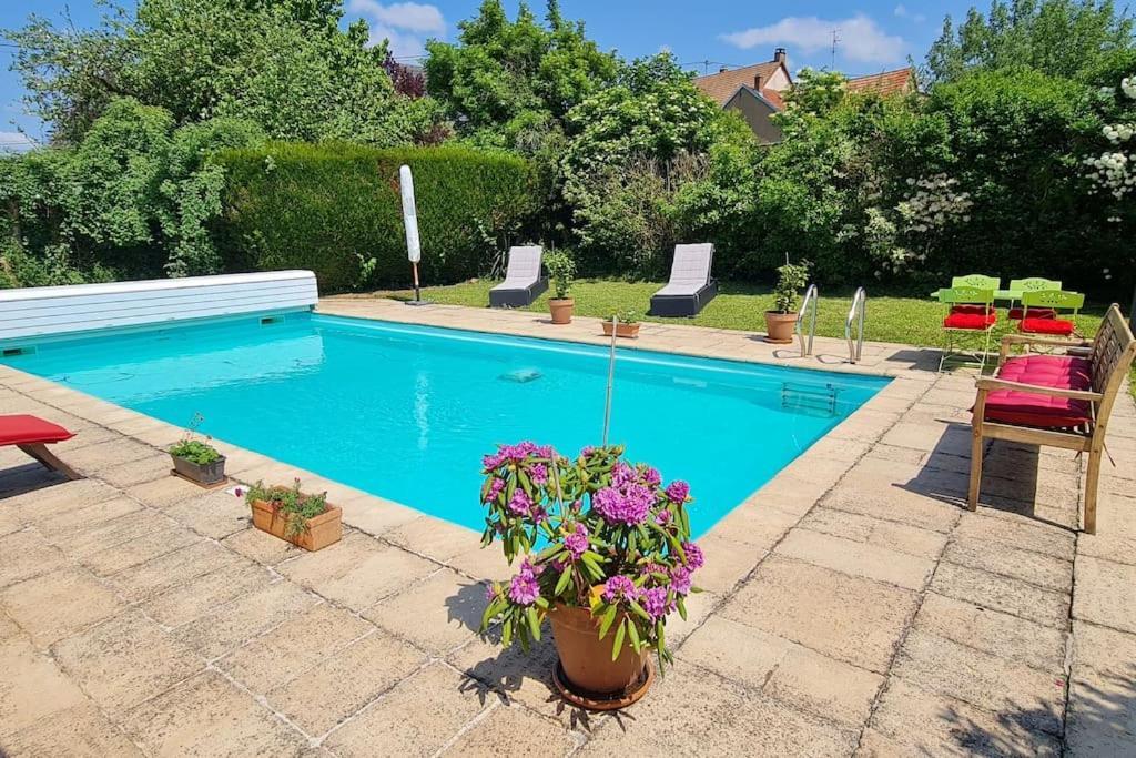 דירות Alteckendorf Alsace Bas-Rhin Logis Independant Avec Piscine Privee מראה חיצוני תמונה