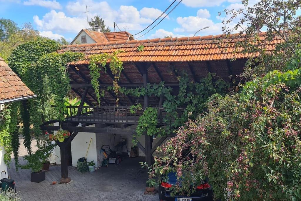דירות Alteckendorf Alsace Bas-Rhin Logis Independant Avec Piscine Privee מראה חיצוני תמונה